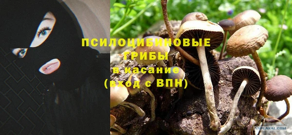 спайс Абдулино