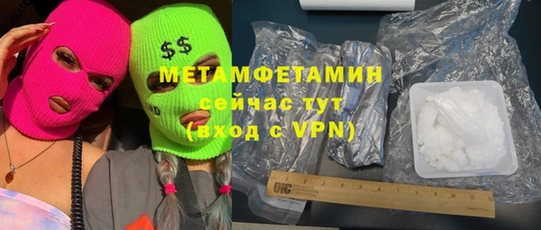 индика Нягань
