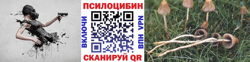 даркнет официальный сайт  Покачи  Галлюциногенные грибы MAGIC MUSHROOMS 